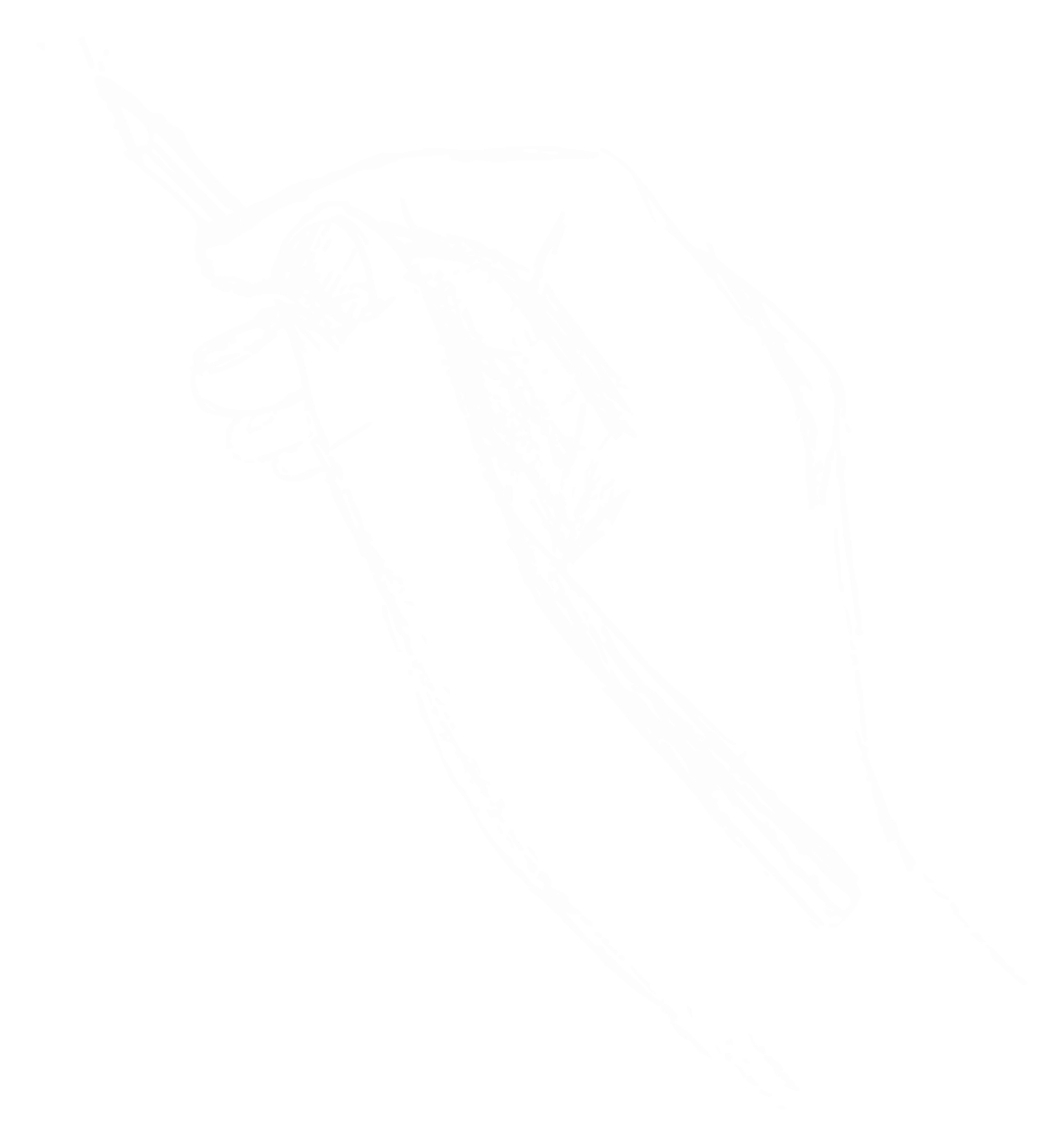 Picture of a hand